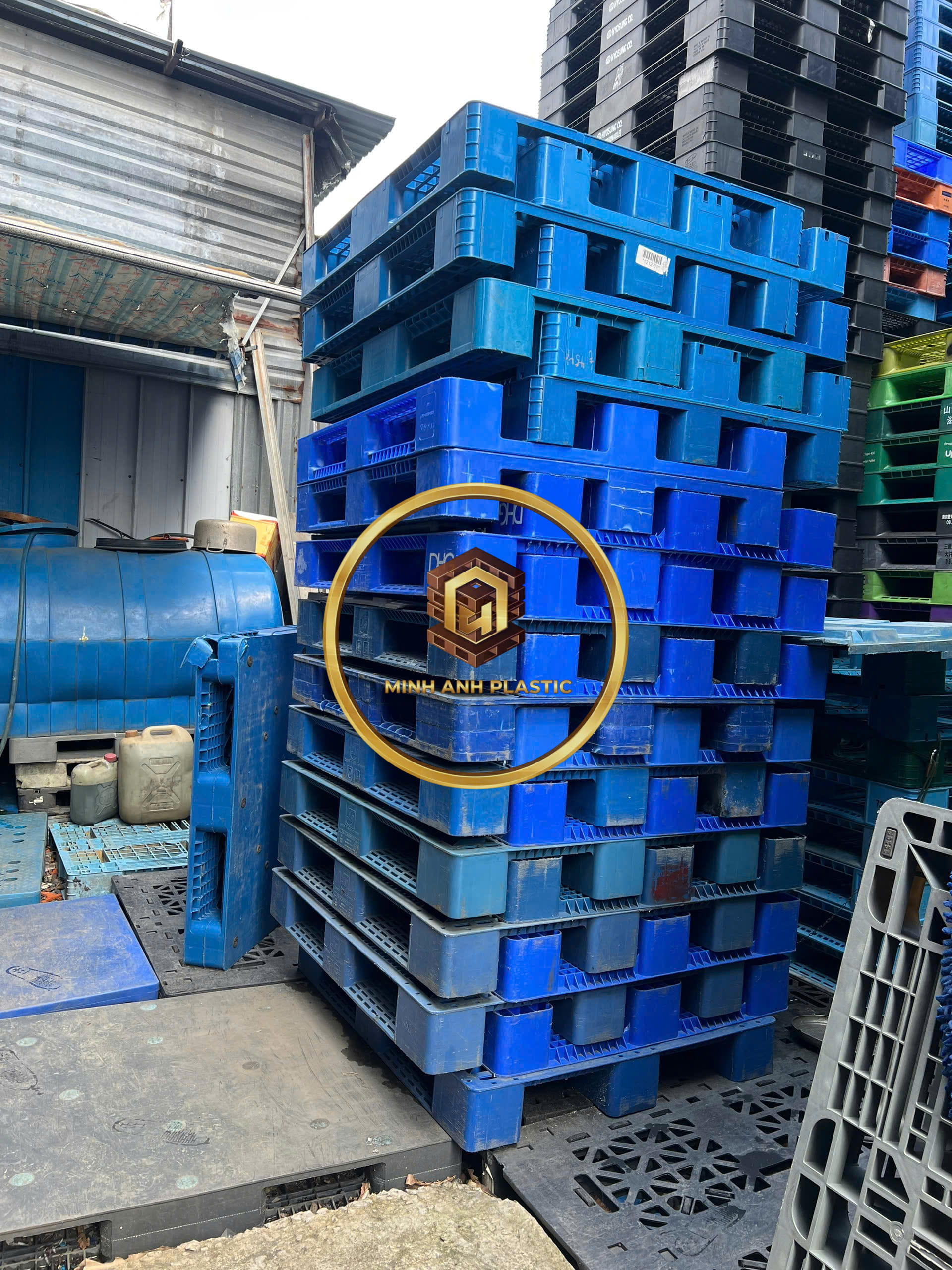 Pallet nhựa mới