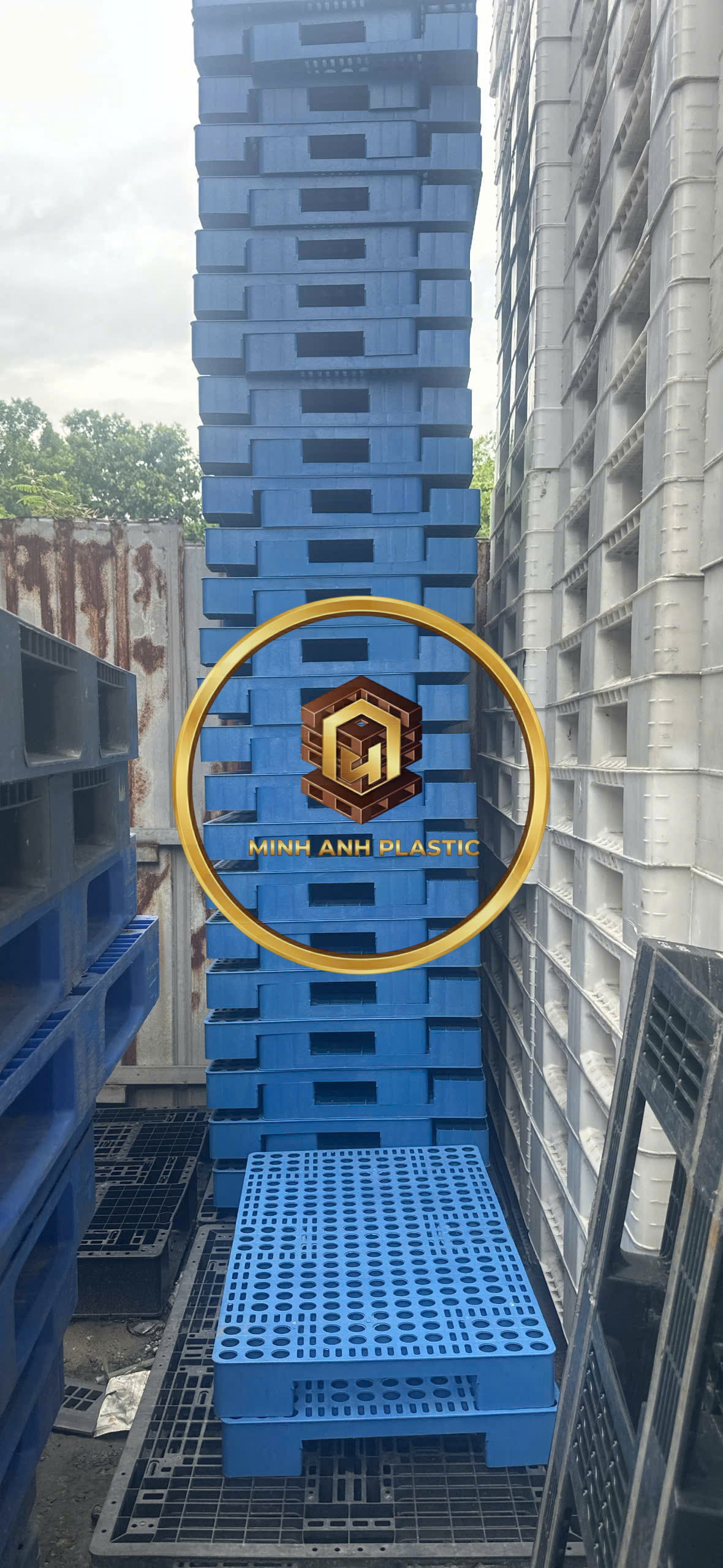 pallet nhựa mới kê hàng