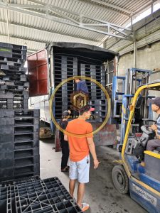 pallet nhựa ngành thủy sản