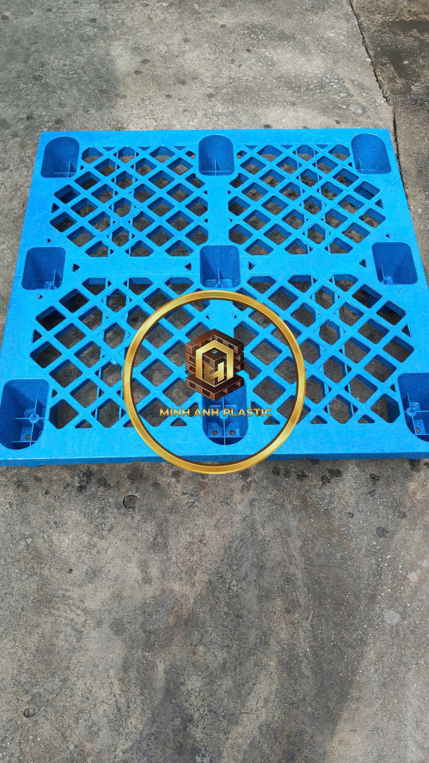 pallet nhựa ngành dược phẩm