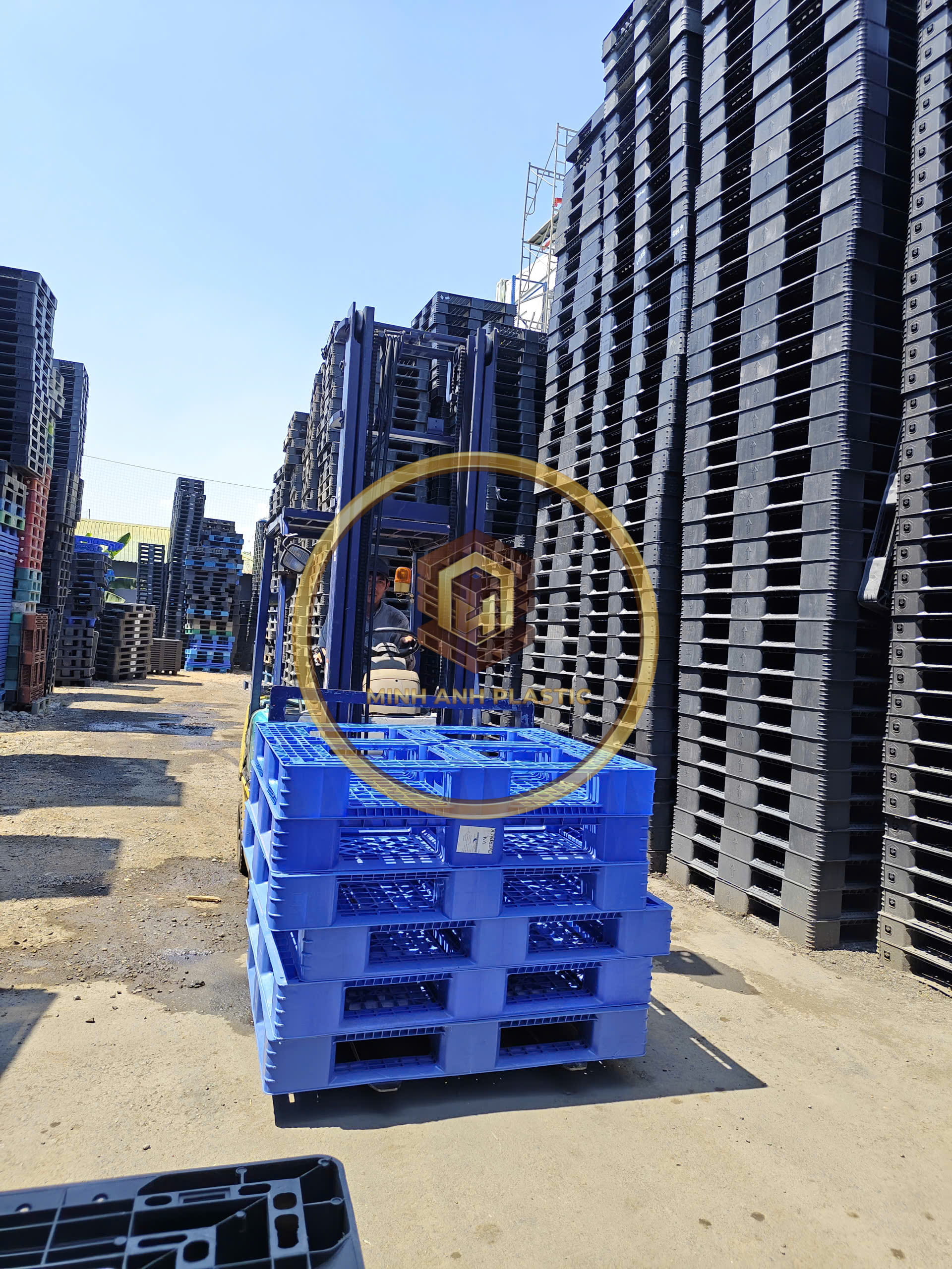 pallet nhựa ngành logistics