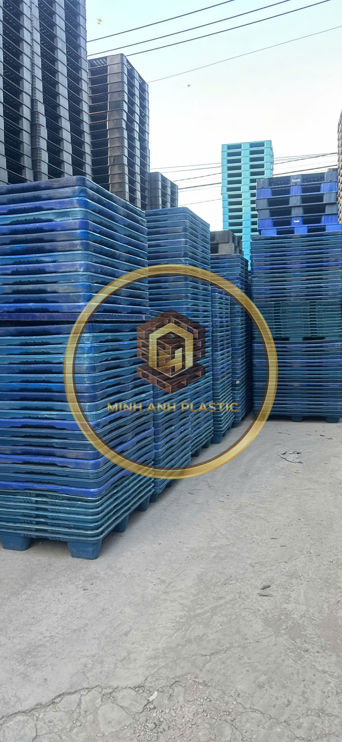 pallet nhựa ngành logistics