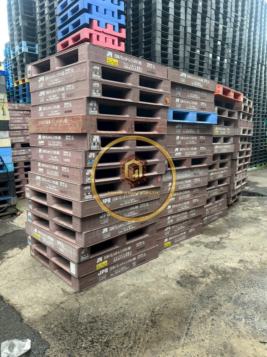 pallet nhựa PP