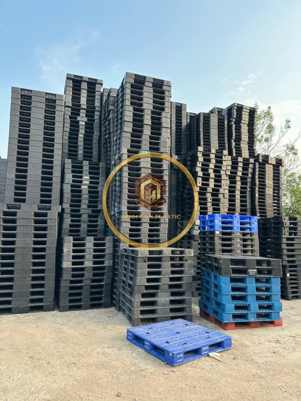 pallet nhựa mới ở Bình Phước