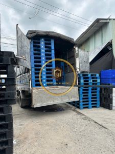 thu mua pallet nhựa mới ở TPHCM